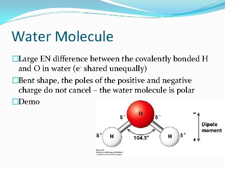 Water Molecule �Large EN difference between the covalently bonded H and O in water