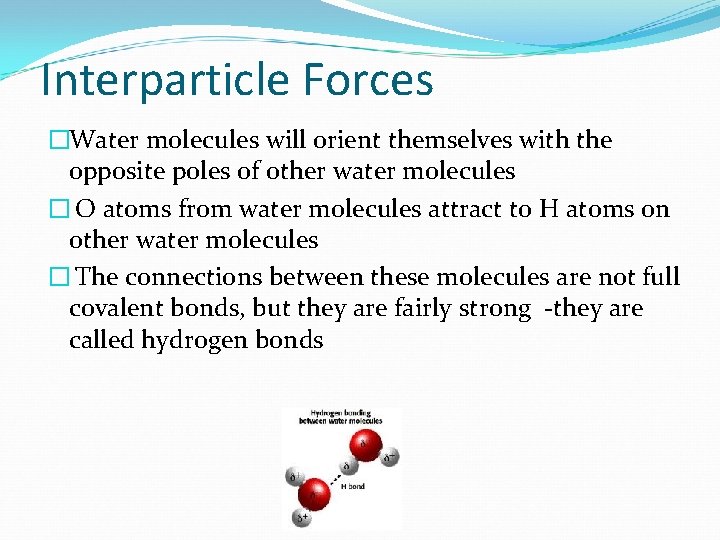 Interparticle Forces �Water molecules will orient themselves with the opposite poles of other water