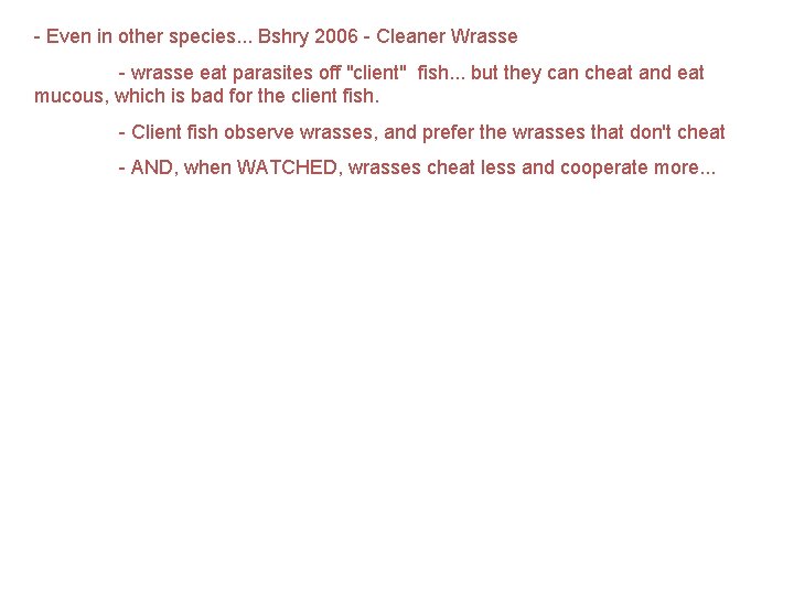 - Even in other species. . . Bshry 2006 - Cleaner Wrasse - wrasse