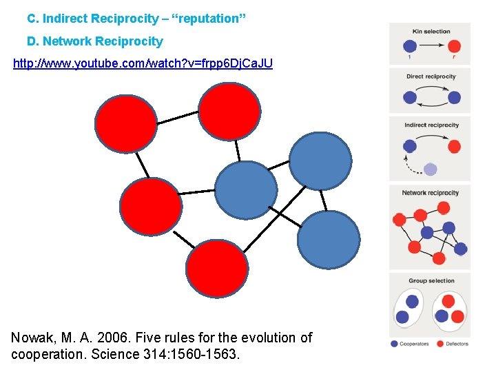 C. Indirect Reciprocity – “reputation” D. Network Reciprocity http: //www. youtube. com/watch? v=frpp 6