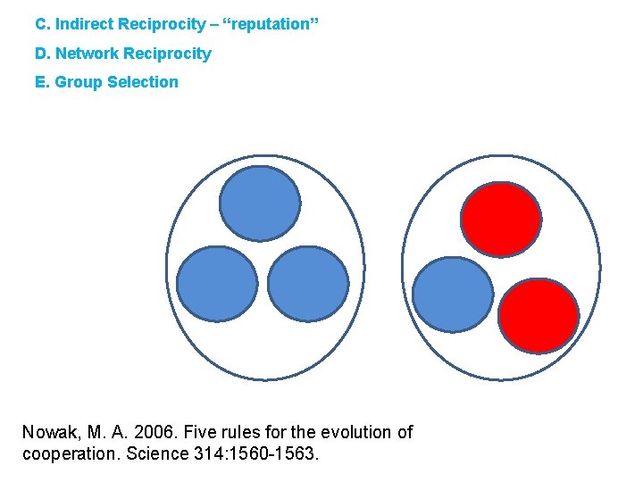 C. Indirect Reciprocity – “reputation” D. Network Reciprocity E. Group Selection Nowak, M. A.