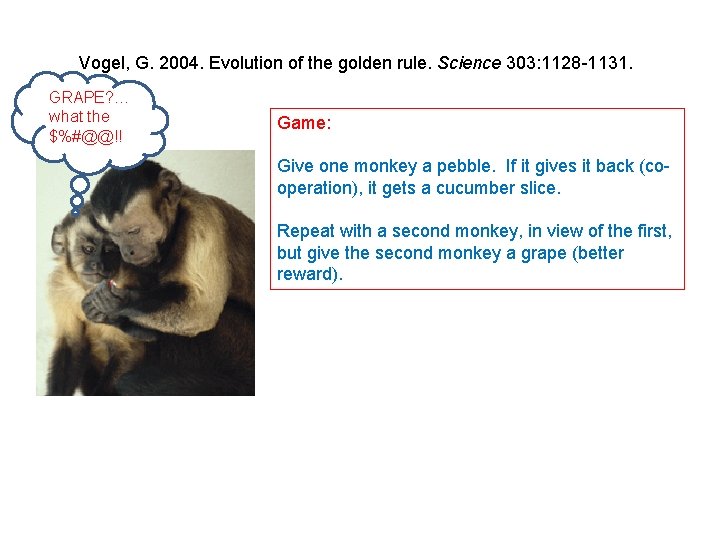 Vogel, G. 2004. Evolution of the golden rule. Science 303: 1128 -1131. GRAPE? …