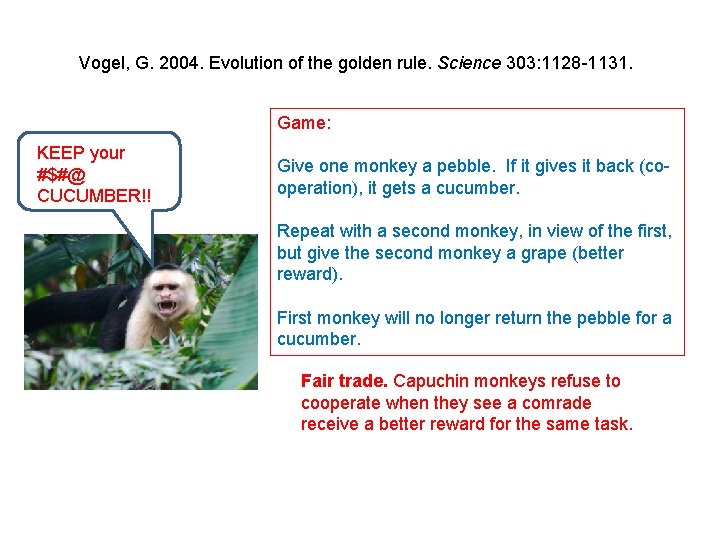 Vogel, G. 2004. Evolution of the golden rule. Science 303: 1128 -1131. Game: KEEP