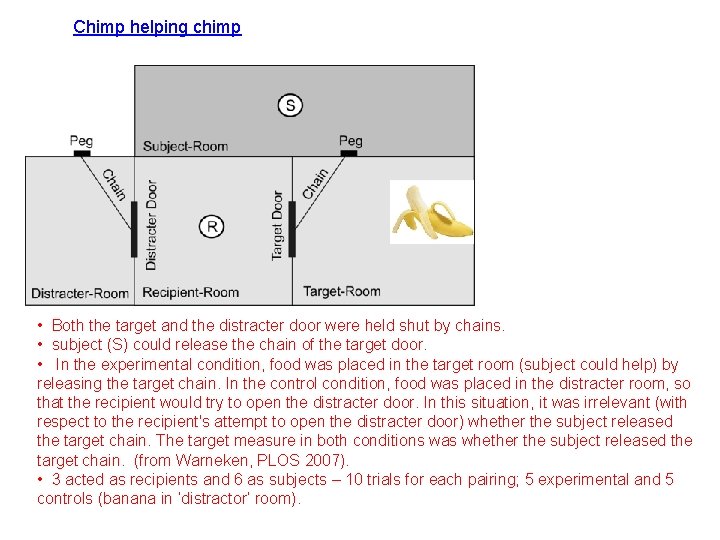 Chimp helping chimp • Both the target and the distracter door were held shut