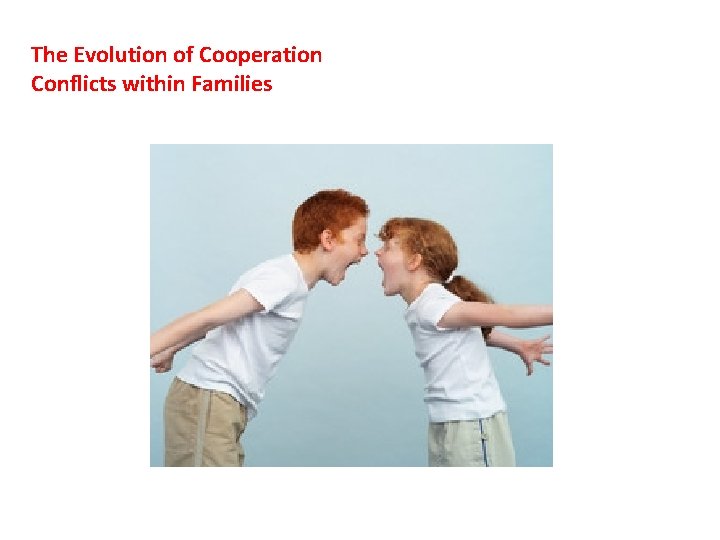 The Evolution of Cooperation Conflicts within Families 