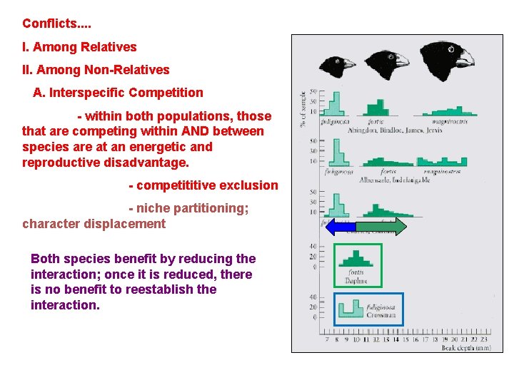 Conflicts. . I. Among Relatives II. Among Non-Relatives A. Interspecific Competition - within both