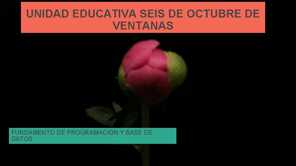 UNIDAD EDUCATIVA SEIS DE OCTUBRE DE VENTANAS FUNDAMENTO DE PROGRAMACION Y BASE DE DATOS