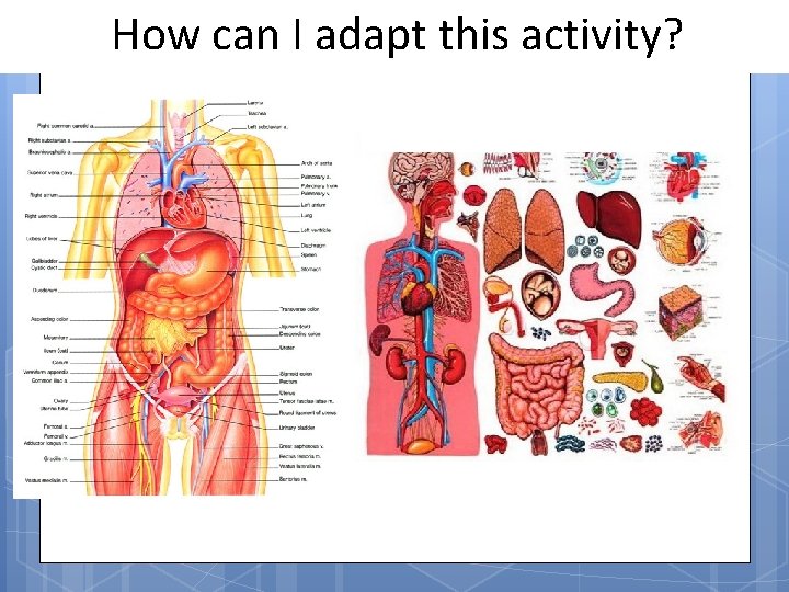 How can I adapt this activity? 