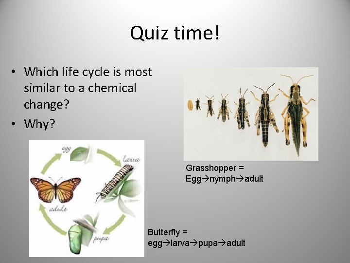 Quiz time! • Which life cycle is most similar to a chemical change? •
