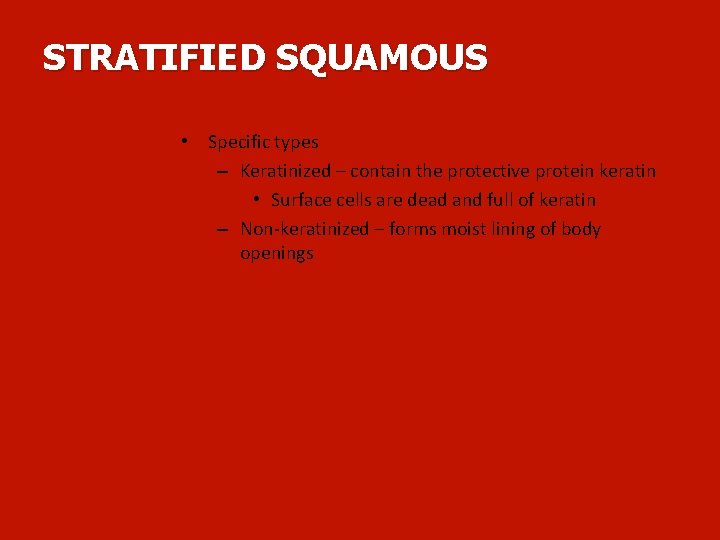 STRATIFIED SQUAMOUS • Specific types – Keratinized – contain the protective protein keratin •