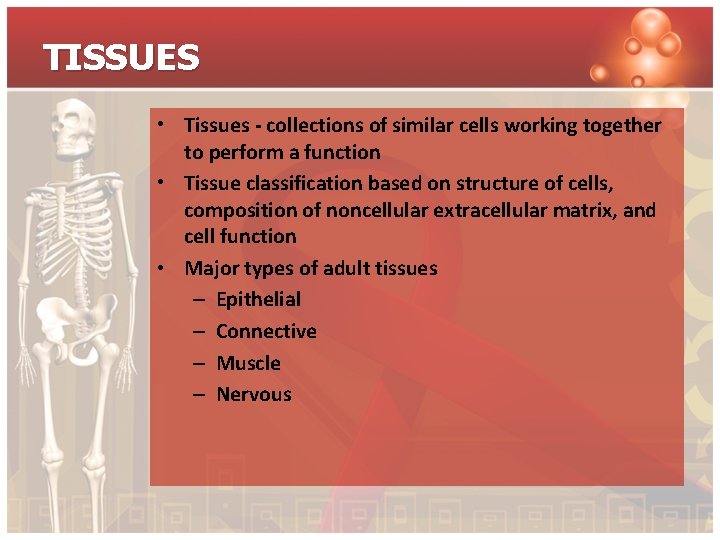 TISSUES • Tissues - collections of similar cells working together to perform a function