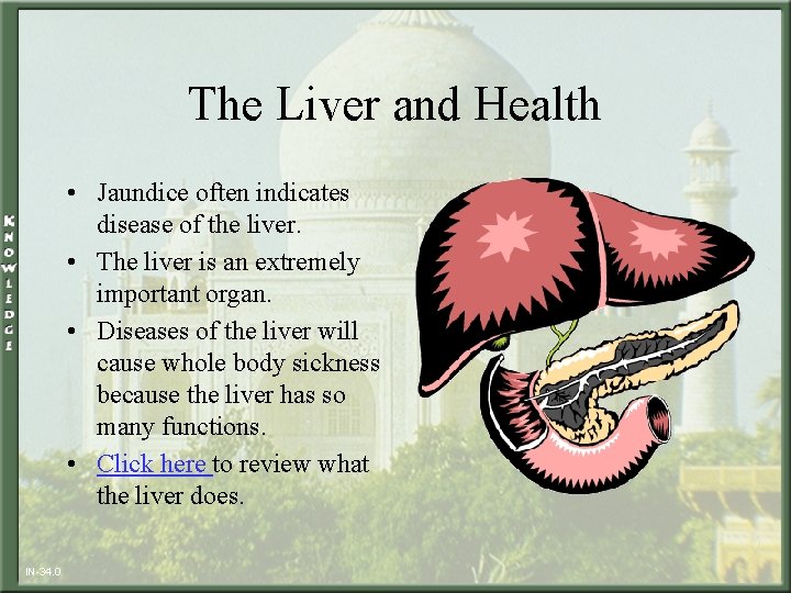 The Liver and Health • Jaundice often indicates disease of the liver. • The