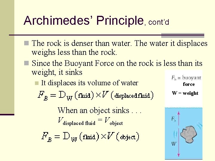 Archimedes’ Principle, cont’d n The rock is denser than water. The water it displaces