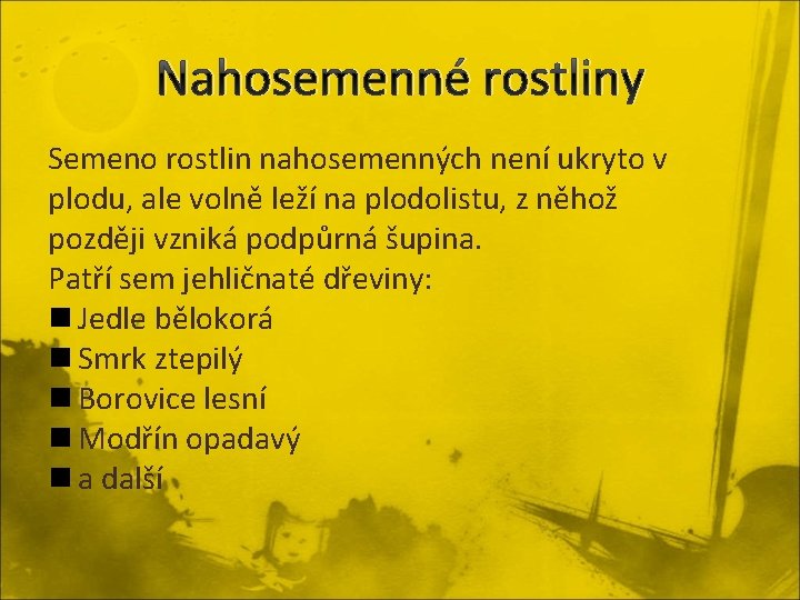 Nahosemenné rostliny Semeno rostlin nahosemenných není ukryto v plodu, ale volně leží na plodolistu,