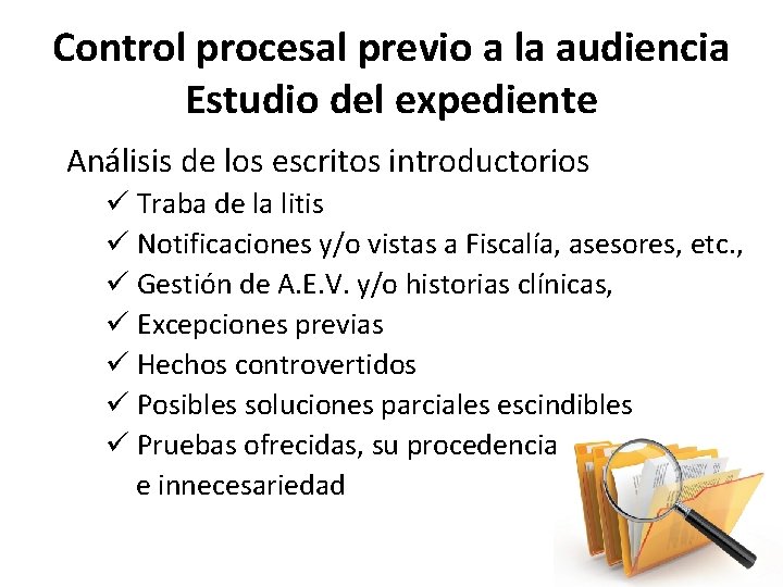 Control procesal previo a la audiencia Estudio del expediente Análisis de los escritos introductorios
