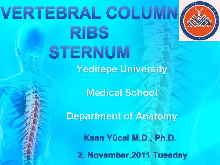 VERTEBRAL COLUMN RIBS STERNUM Yeditepe University Medical School Department of Anatomy Kaan Yücel M.