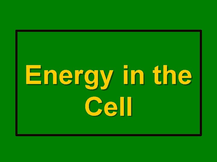 Energy in the Cell 