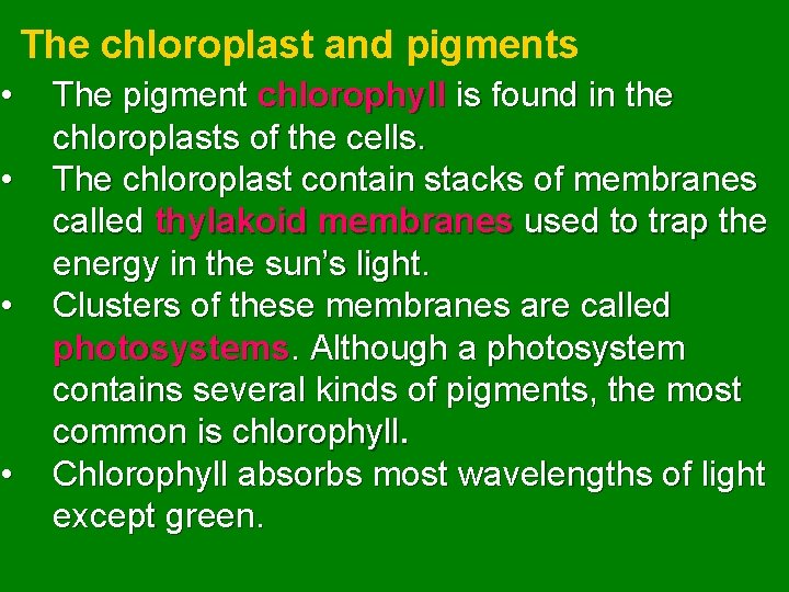  • • The chloroplast and pigments The pigment chlorophyll is found in the