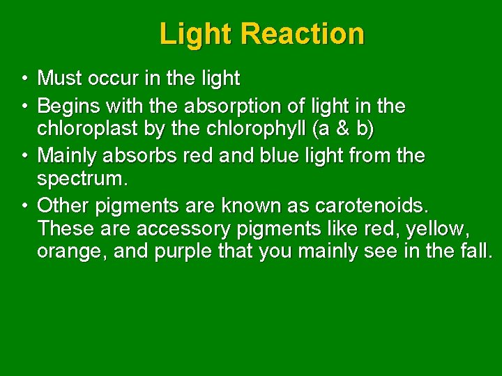 Light Reaction • Must occur in the light • Begins with the absorption of