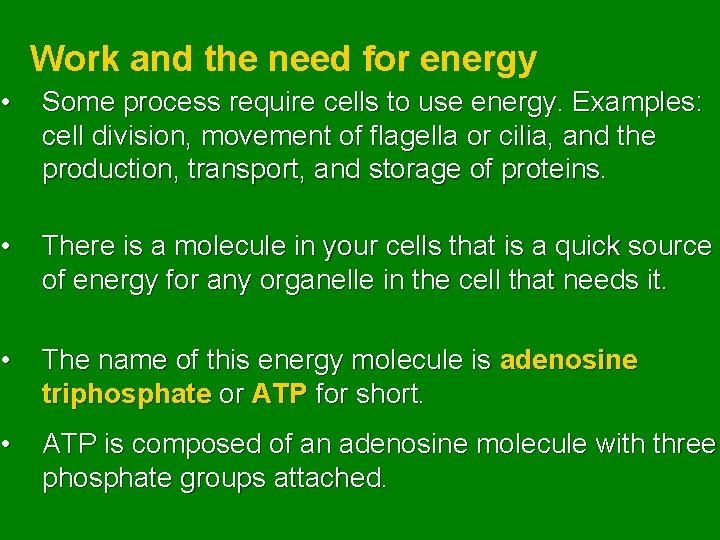 Work and the need for energy • Some process require cells to use energy.