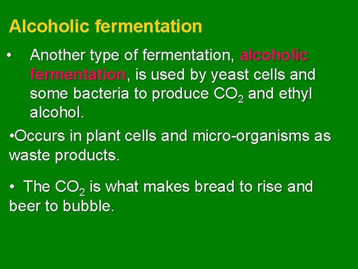 Alcoholic fermentation • Another type of fermentation, alcoholic fermentation, is used by yeast cells
