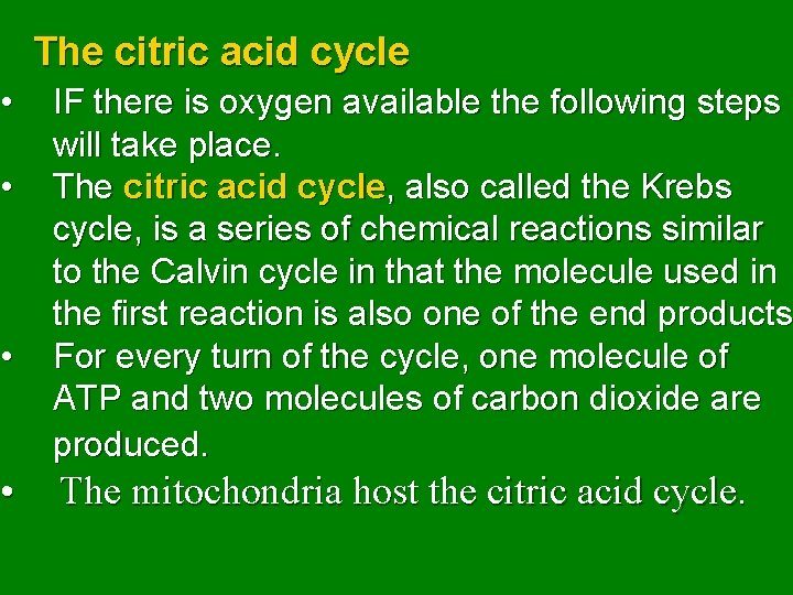  • • The citric acid cycle IF there is oxygen available the following