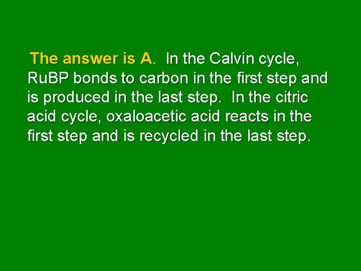 The answer is A. In the Calvin cycle, Ru. BP bonds to carbon in