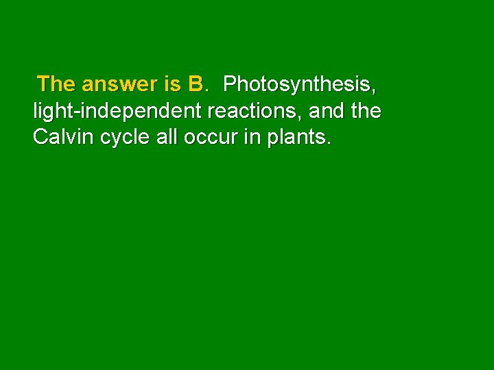 The answer is B. Photosynthesis, light-independent reactions, and the Calvin cycle all occur in