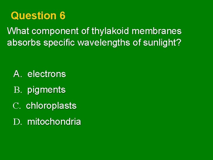 Question 6 What component of thylakoid membranes absorbs specific wavelengths of sunlight? A. electrons