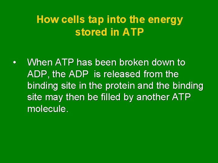 How cells tap into the energy stored in ATP • When ATP has been