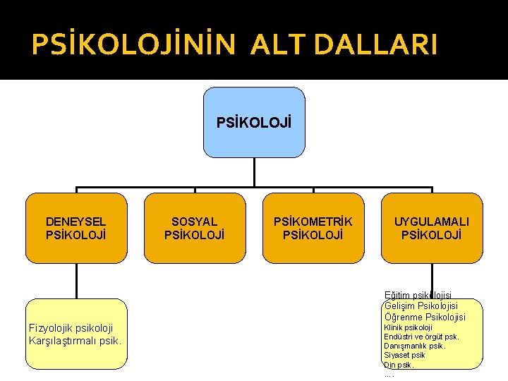 PSİKOLOJİNİN ALT DALLARI PSİKOLOJİ DENEYSEL PSİKOLOJİ Fizyolojik psikoloji Karşılaştırmalı psik. SOSYAL PSİKOLOJİ PSİKOMETRİK PSİKOLOJİ