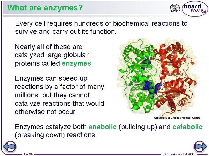 What are enzymes Every cell requires hundreds of