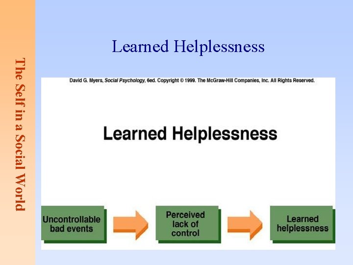 Learned Helplessness The Self in a Social World 