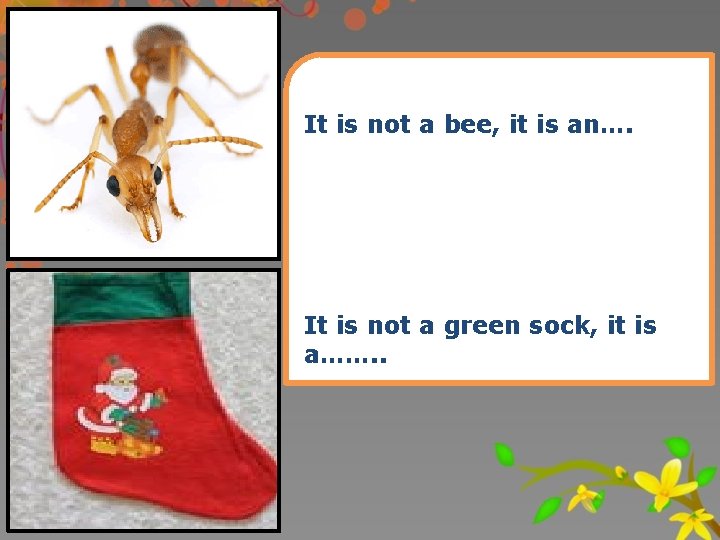 It is not a bee, it is an…. It is not a green sock,