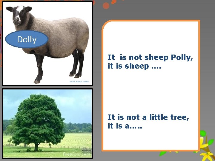 Dolly It is not sheep Polly, it is sheep …. It is not a