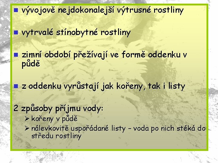 n vývojově nejdokonalejší výtrusné rostliny n vytrvalé stínobytné rostliny n zimní období přežívají ve