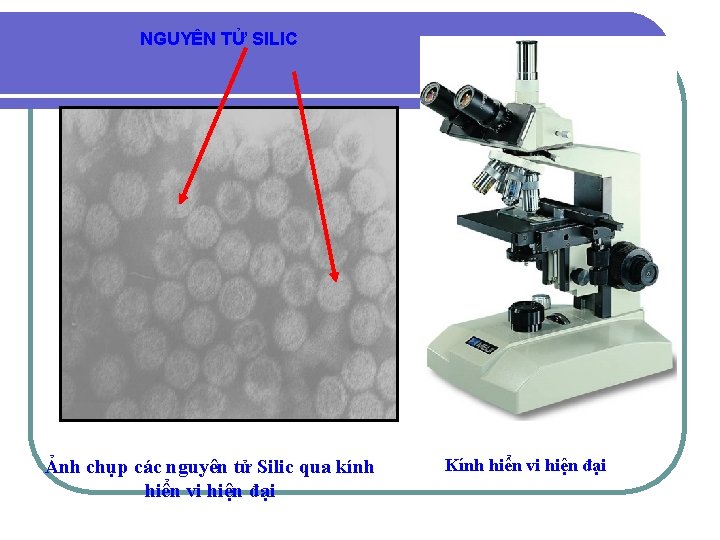 NGUYÊN TỬ SILIC Ảnh chụp các nguyên tử Silic qua kính hiển vi hiện