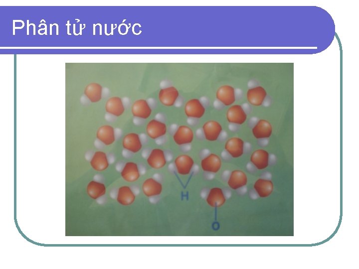 Phân tử nước 