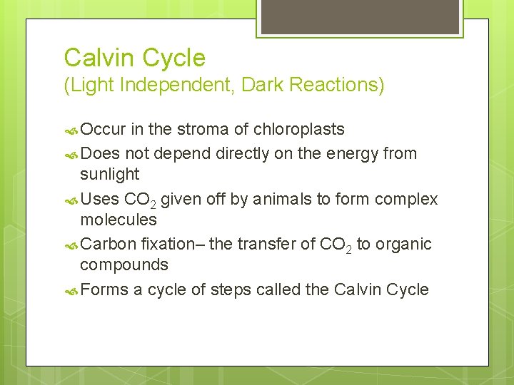 Calvin Cycle (Light Independent, Dark Reactions) Occur in the stroma of chloroplasts Does not