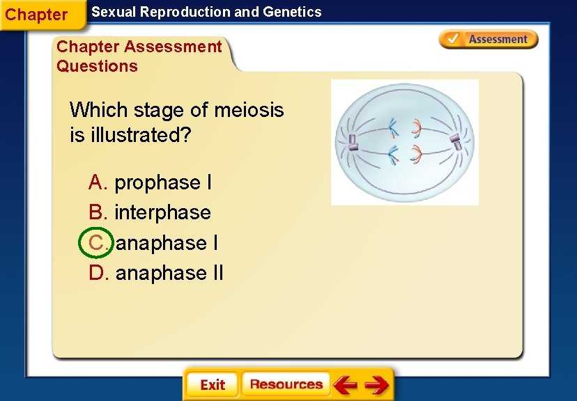 Chapter Sexual Reproduction and Genetics Chapter Assessment Questions Which stage of meiosis is illustrated?