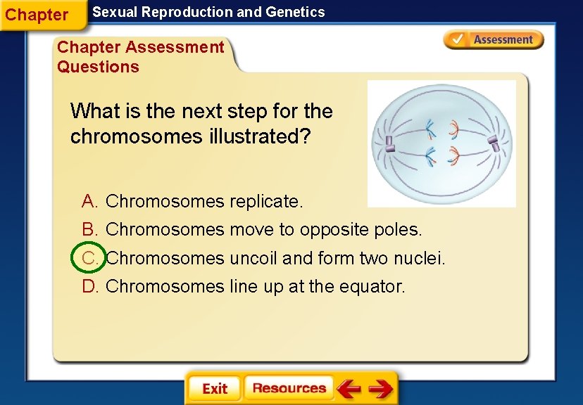 Chapter Sexual Reproduction and Genetics Chapter Assessment Questions What is the next step for