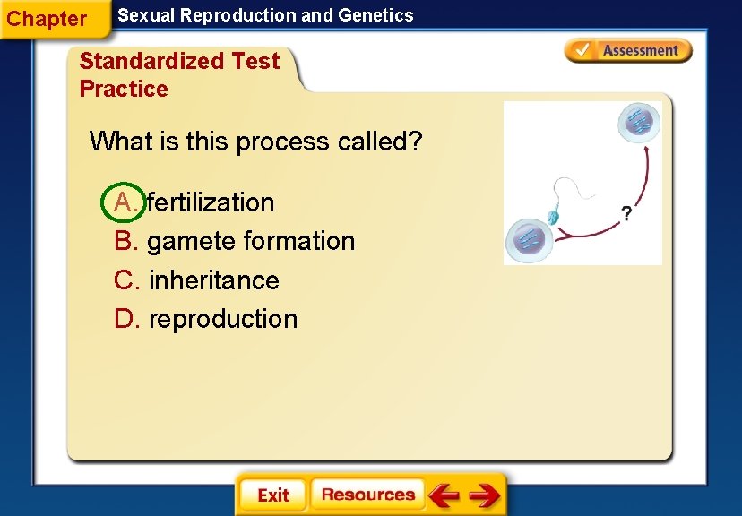 Chapter Sexual Reproduction and Genetics Standardized Test Practice What is this process called? A.