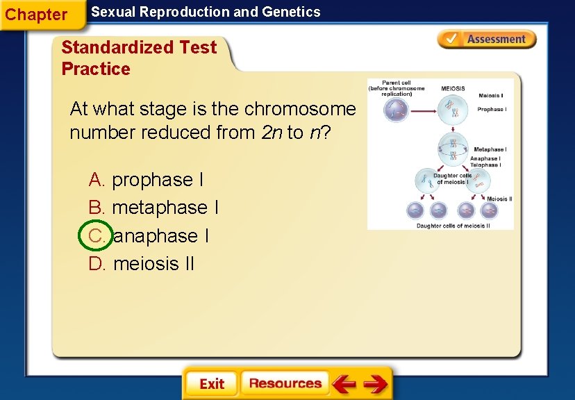 Chapter Sexual Reproduction and Genetics Standardized Test Practice At what stage is the chromosome