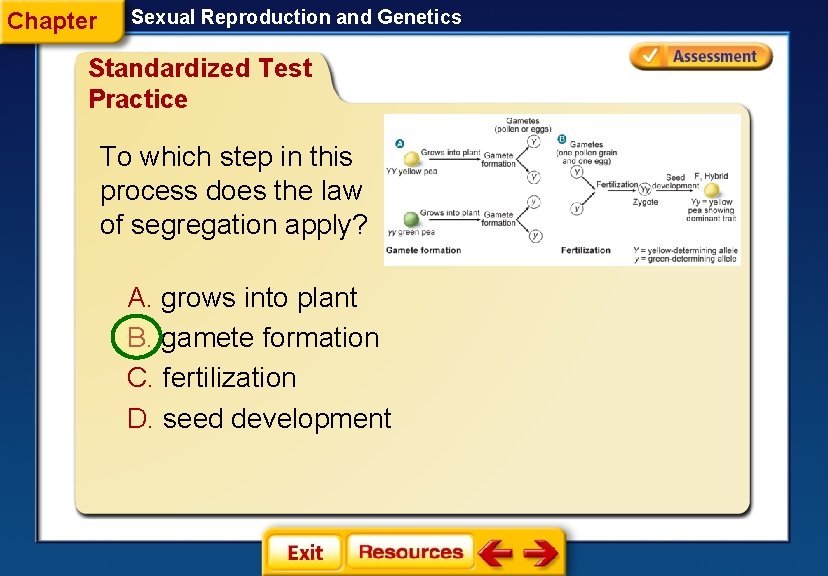Chapter Sexual Reproduction and Genetics Standardized Test Practice To which step in this process