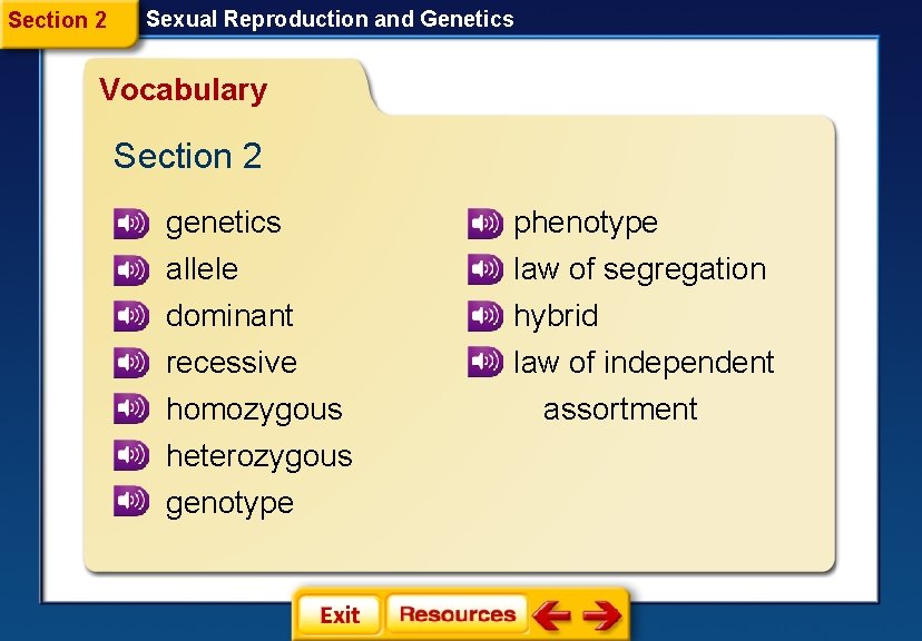 Section 2 Sexual Reproduction and Genetics Vocabulary Section 2 genetics phenotype allele dominant recessive