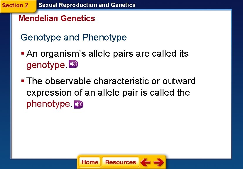 Section 2 Sexual Reproduction and Genetics Mendelian Genetics Genotype and Phenotype § An organism’s