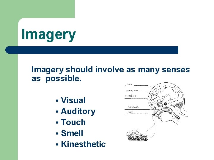 Imagery should involve as many senses as possible. Visual § Auditory § Touch §