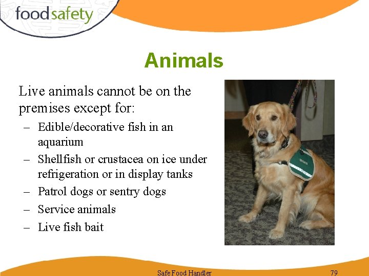 Animals Live animals cannot be on the premises except for: – Edible/decorative fish in