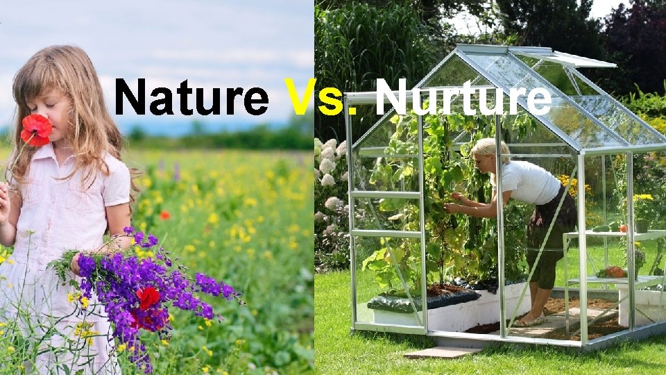 Nature Vs. Nurture 