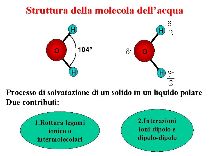 Struttura della molecola dell’acqua + H 2 H 104° O H - O H